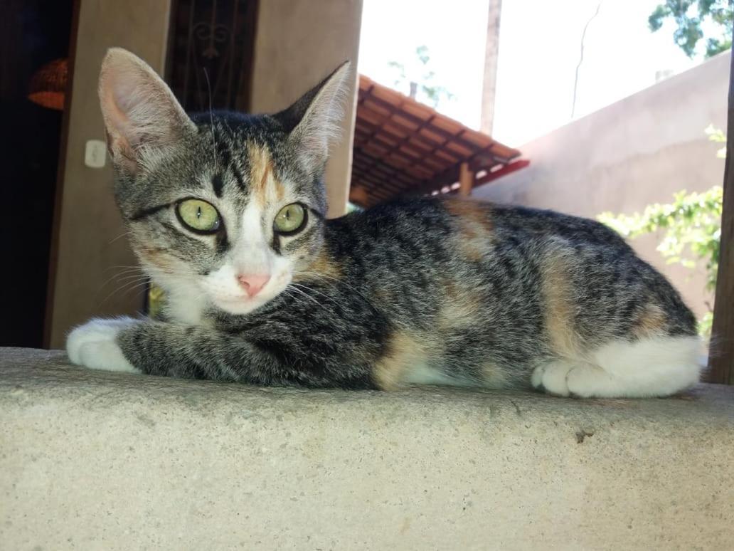 Vila Prosperidade Trancoso Dış mekan fotoğraf